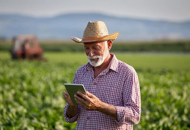 agricultor calculando