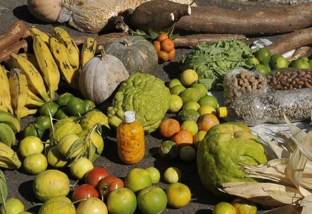 alimentos orgânicos