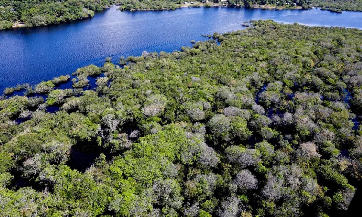 Amazônia e Cerrado têm menor desmatamento da série histórica
