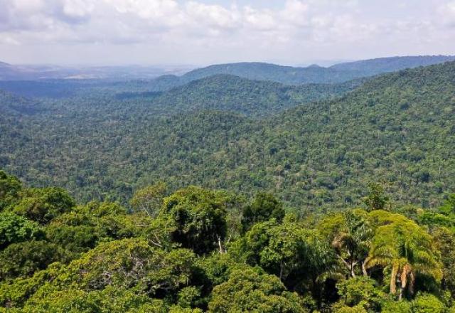 amazônia