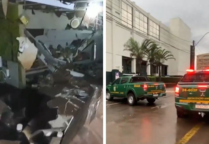 RS: Ibama faz vistoria em petshop onde animais foram encontrados mortos 