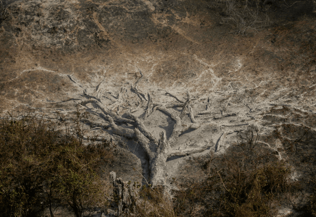 Brasil queimou 11 milhões de hectares de janeiro até agosto de 2024: "Aumento explosivo", diz Ipam Brasil queimou 11 milhões de hectares de janeiro até agosto de 2024: "Aumento explosivo", diz Ipam