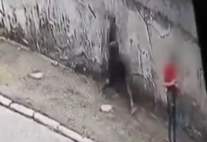 Ladrão causa terror na Zona Leste de SP com ataques violentos a idosas 