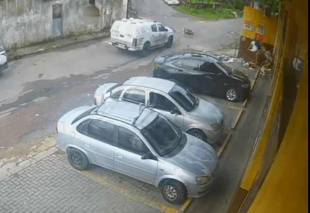 Policiais militares atropelaram cachorros em Manaus | Foto: reprodução