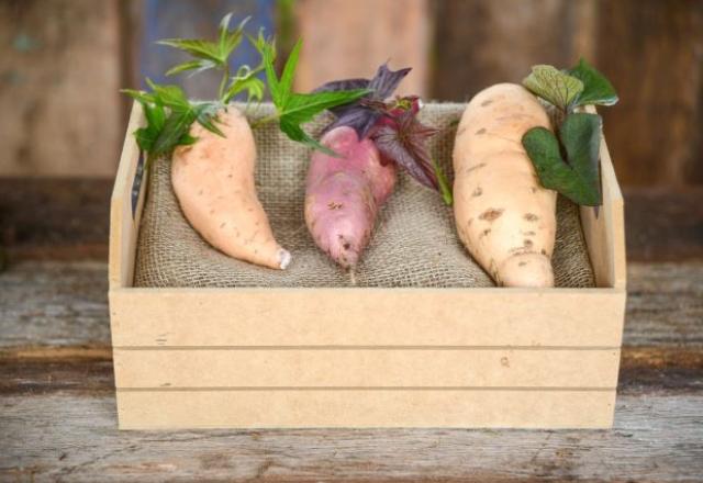 batata doce