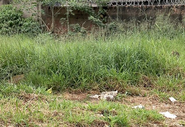 Recém-nascido é encontrado abandonado em terreno baldio