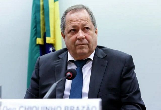 Relatora votou pela admissibilidade de representação do Psol e Rede | Divulgação/Câmara dos Deputados