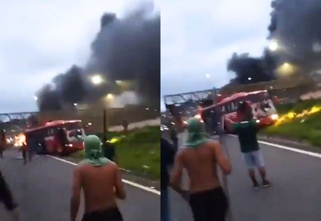 Torcedores do Palmeiras envolvidos na briga serão investigados | Reprodução/redes sociais