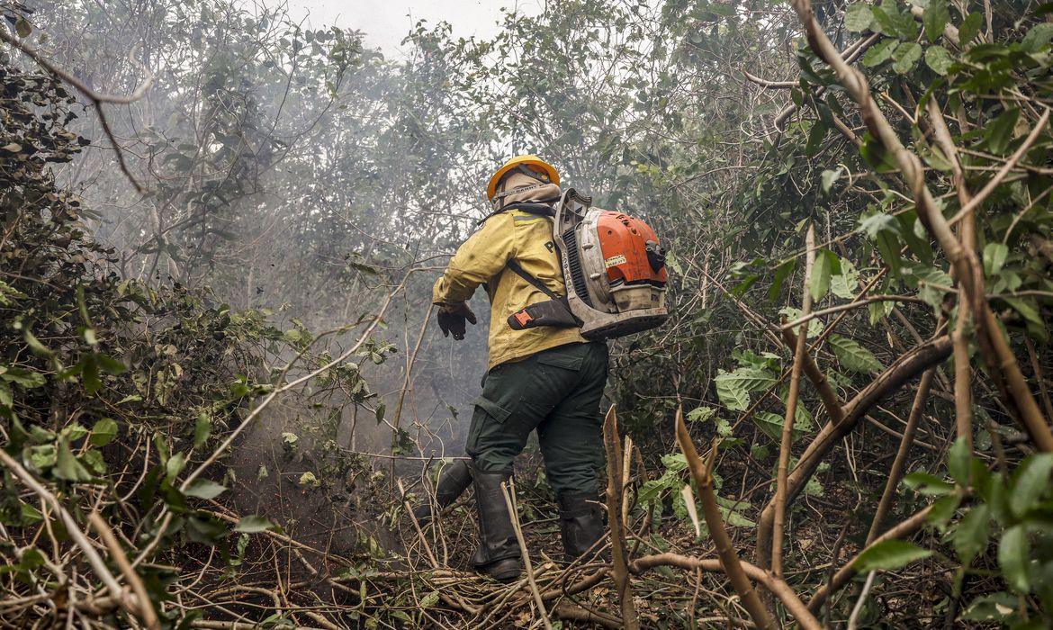 Queimadas no Amazonas são fruto de ação humana, diz ministro