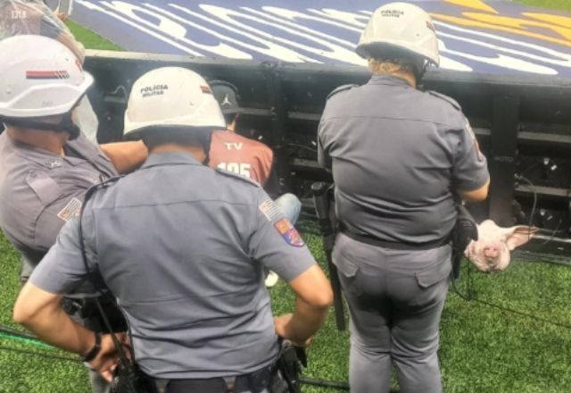 Polícia Militar analisa cabeça de porco jogada durante partida entre Corinthians e Palmeiras | Reprodução/redes sociais