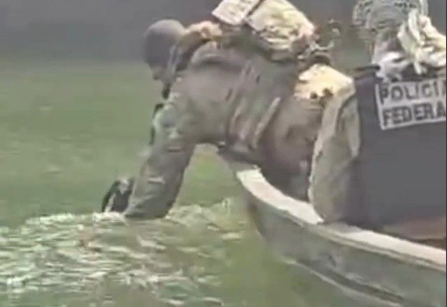Cachorro foi abandonado por garimpeiros no Amazonas | Reprodução/Redes sociais