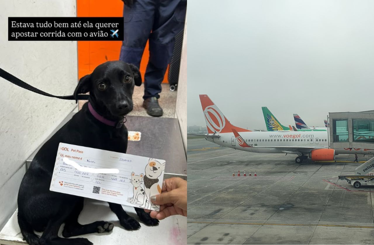 Cachorro invade pista e suspende operações no Aeroporto de Congonhas por 9 minutos