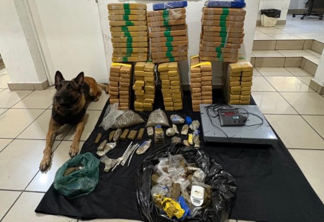 Foto: Reprodução | Secretaria de Segurança Pública de SP