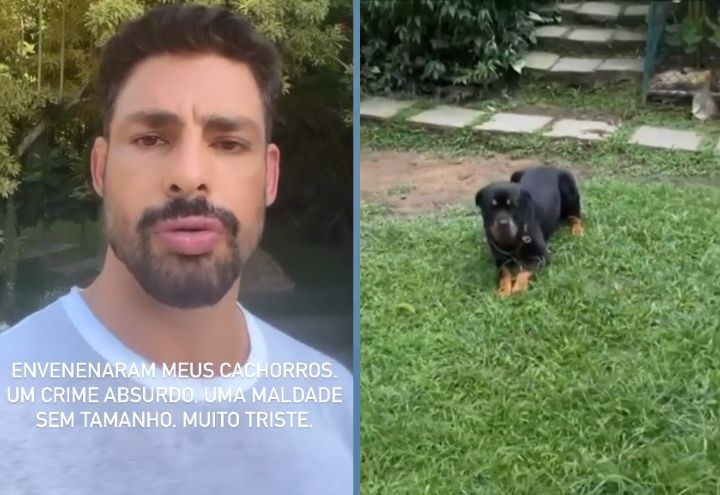 Após morte de cachorro de Cauã Reymond, polícia investiga outros envenenamentos