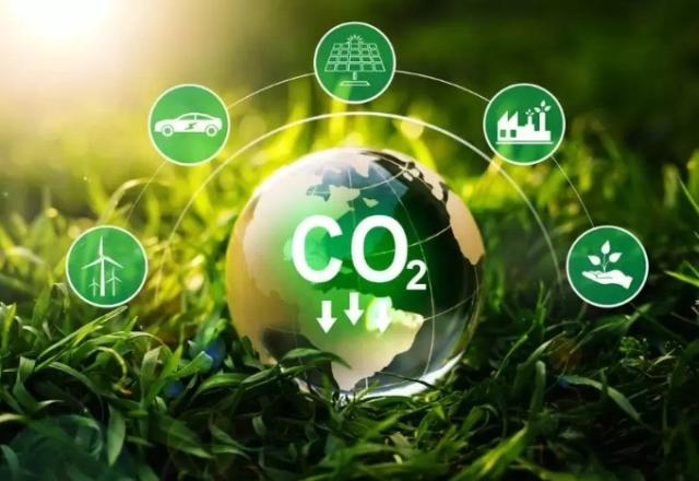 cálculos para o crédito de carbono