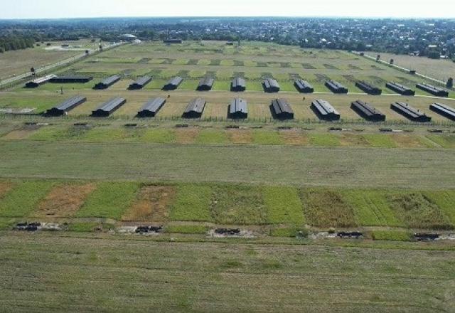 campo de concentração