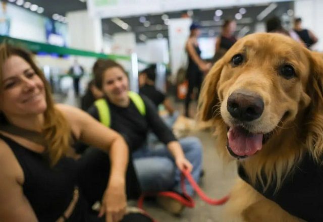 Grupo será coordenador por representante do Ministério de Portos e Aeroportos | Fabio Rodrigues Pozzebom/Agência Brasil