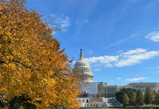 capitolio dos estados unidos é a casa legislativa do pais