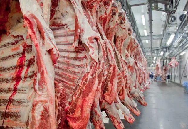 Fiemg: veto à carne brasileira reduz significativamente ganhos de acordo UE-Mercosul Fiemg: veto à carne brasileira reduz significativamente ganhos de acordo UE-Mercosul