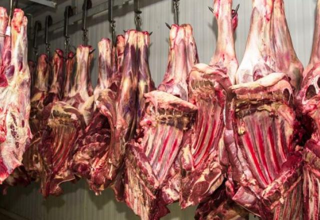 carne bovina