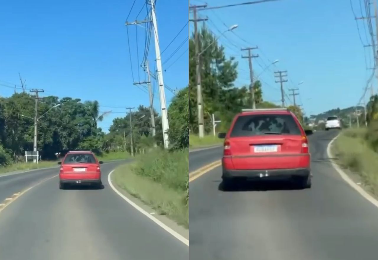 Carro com vaca no porta-malas | Reprodução