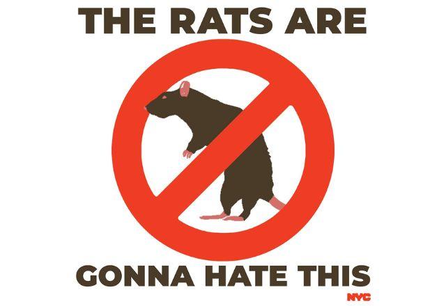 cartaz anti rato da cidade de nova iorque