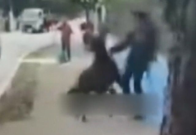 Cavalo dá coice e morde pedestres em São Paulo
