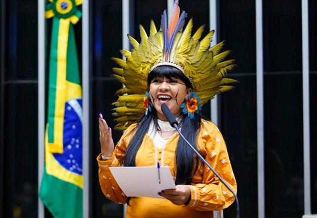 Colegiado tem uma reunião convocada para as 14h de 5 de junho, para apresentação do plano de trabalho e votação de requerimentos | Divulgação/Câmara dos Deputados
