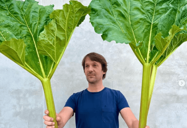 Chef dinamarquês Rene Redzepi, fundador do restaurante Noma, em Copenhague | Reprodução Redes Sociais