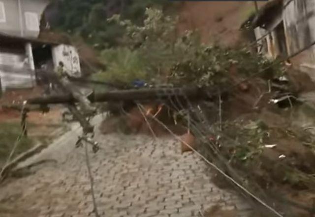 chuva destroi cidade de petropolis, arvore caida