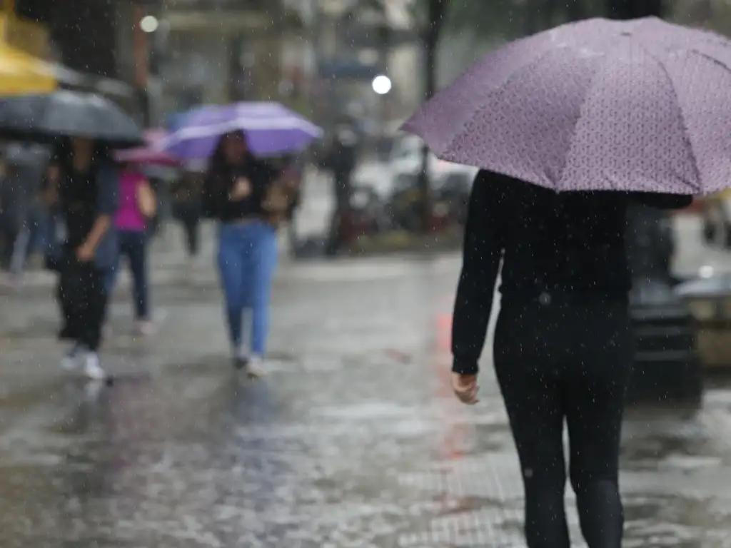 Forte chuva atinge São Paulo | Agência Brasil