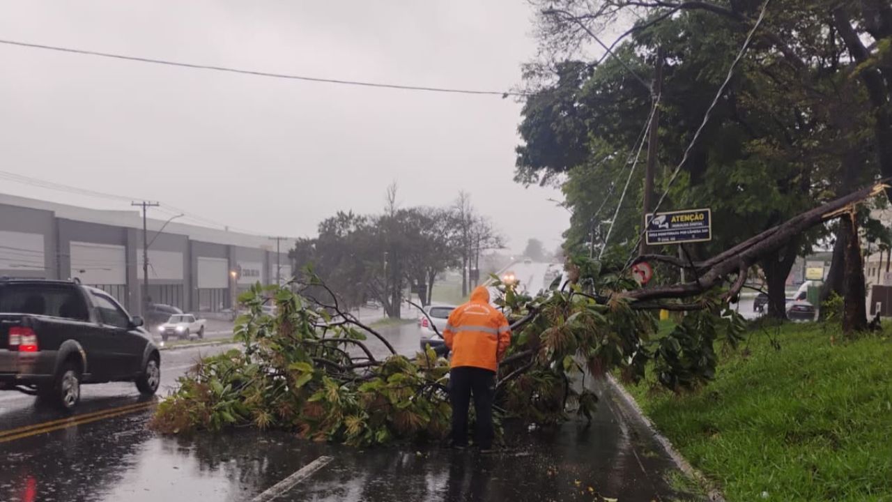 Defesa Civil emite alertas para tempestades em SP Defesa Civil emite alertas para tempestades em SP