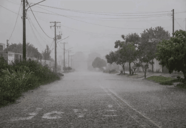 Chuva | Reprodução
