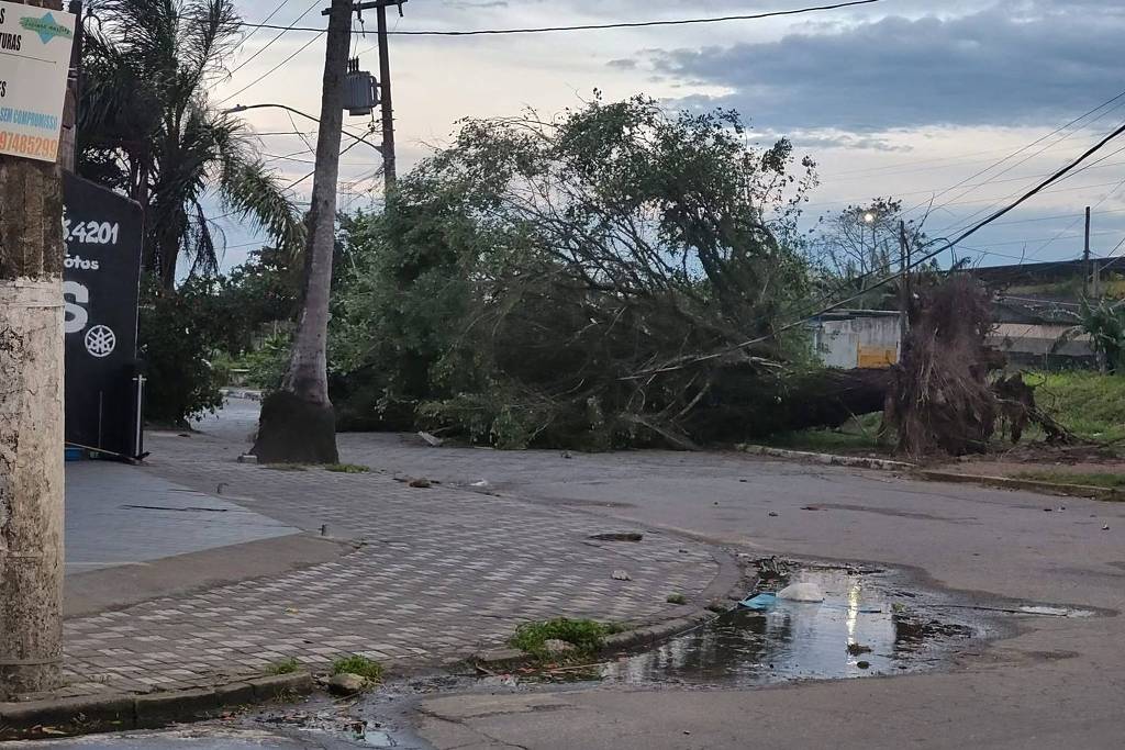 Estragos provocados pelos fortes ventos no litoral de SP | Divulgação/Defesa Civil de SP
