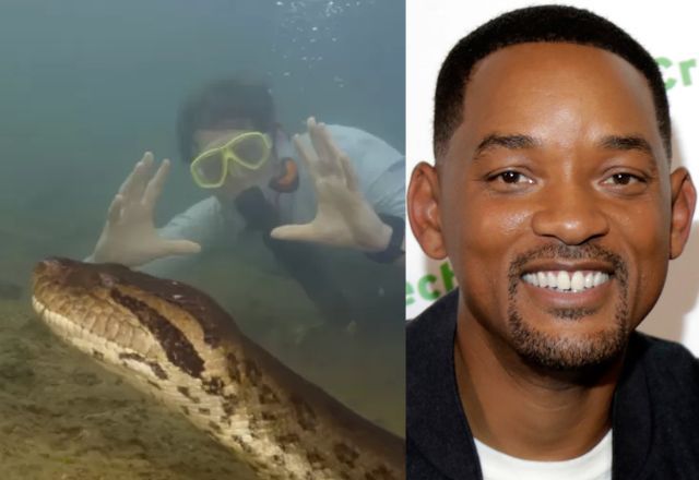 Anaconda: pesquisadores encontram nova espécie de sucuri-verde gigante