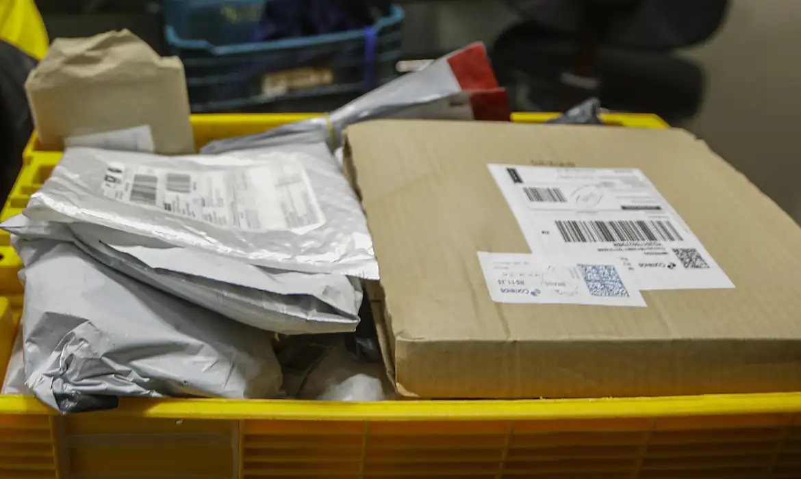 Mudança no texto adia decisão para taxação de compras internacionais no Senado | Joédson Alves/Agência Brasil