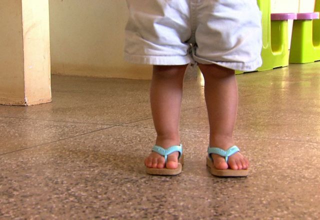 Caso ocorreu em sítio localizado na Linha Canhada Funda, interior do município de Herval D’Oeste | Reprodução/TV Brasil