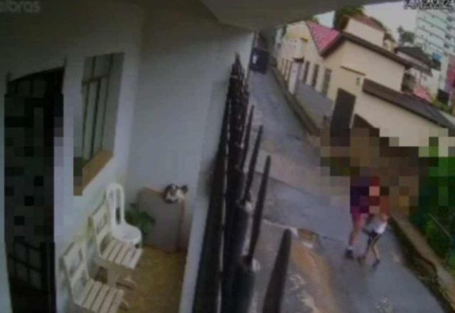 Justiça concedeu medida protetiva de urgência à criança | Reprodução