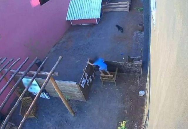 Câmera de segurança flagrou momento em que a criança invadiu o local | Reprodução