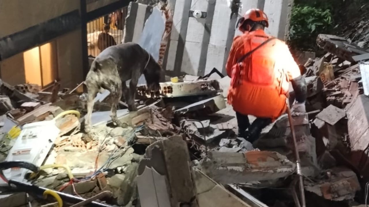 Imagem da notícia: Prédio desaba na Zona Sul do Rio de Janeiro Imagem da notícia: Prédio desaba na Zona Sul do Rio de Janeiro
