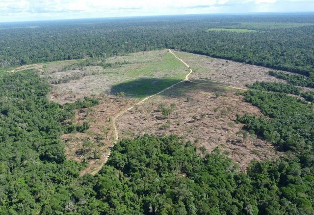 Ação contra o pecuarista foi movida pela Advocacia-Geral da União | Ibama