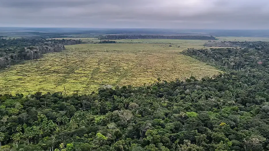 Área da Amazônia desmatada | Divulgação/Polícia Federal/Agência Brasil