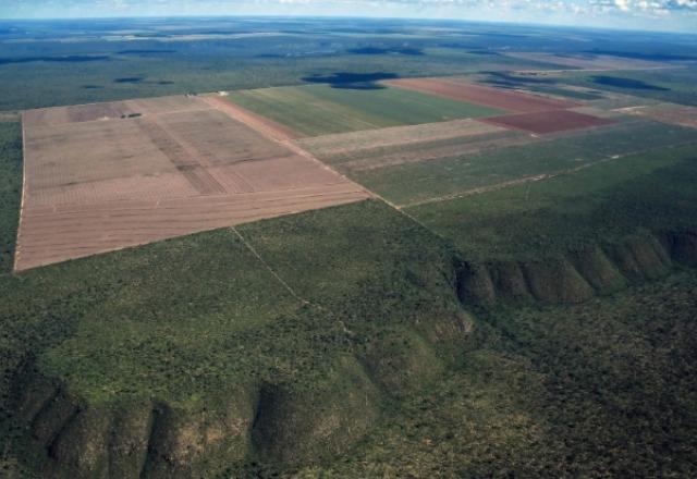 desmatamento em Mato Grosso