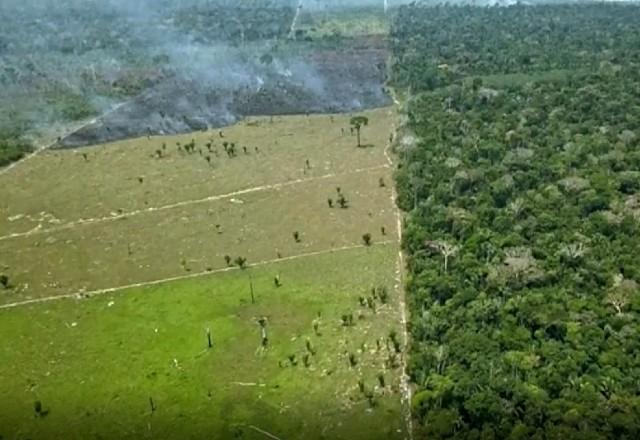Atuação da Polícia Federal na proteção da Amazônia é destaque do Brazil Forum UK Atuação da Polícia Federal na proteção da Amazônia é destaque do Brazil Forum UK