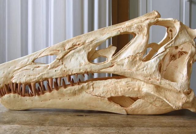 dino