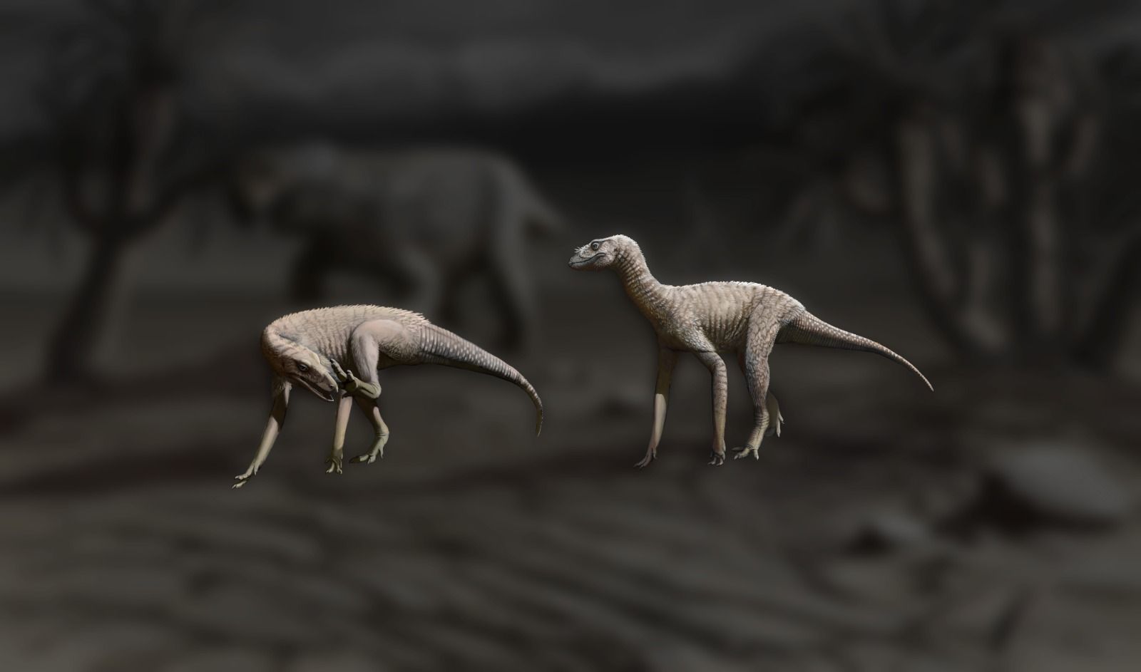 Fóssil encontrado há 20 anos no Rio Grande do Sul pode ajudar a desvendar origem dos dinossauros. | Reprodução/UFGRS