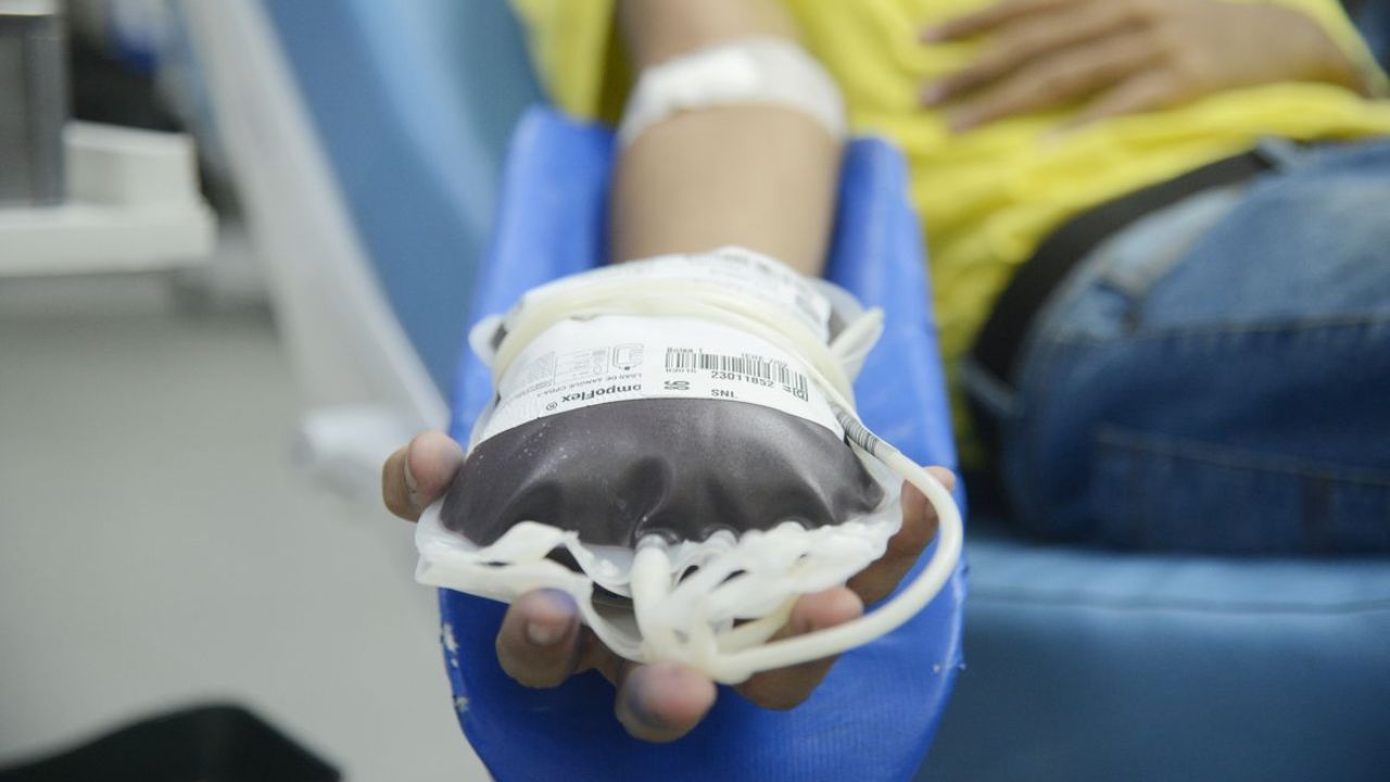Novas Regras Mudam Criterios Para Doacao De Sangue Entenda