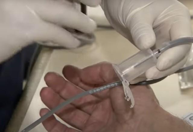 Lei facilita localização de doadores de medula óssea Lei facilita localização de doadores de medula óssea