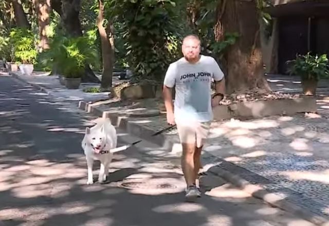Moradores da Tijuca, no Rio, denunciam envenenamento de cães 
