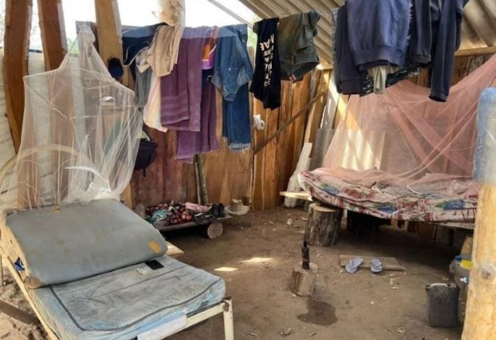 593 trabalhadores em situação análoga à escravidão foram resgatados entre junho e agosto